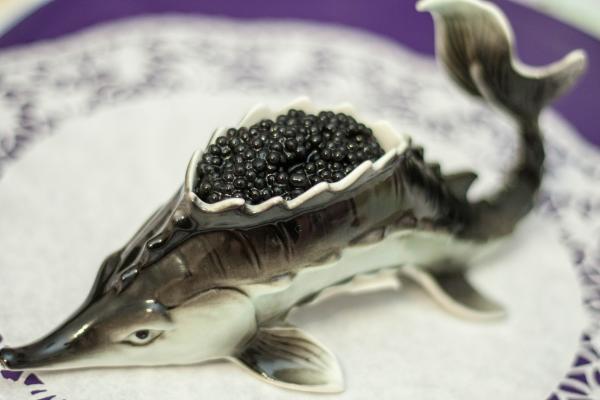 Development of an aquaculture complex for the production of black caviar and commercial sturgeon