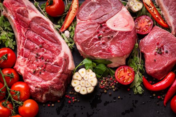 Organization of a meat cluster for the production of lamb and beef meat in the West Kazakhstan region